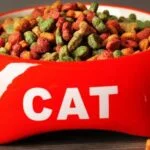 organic cat food