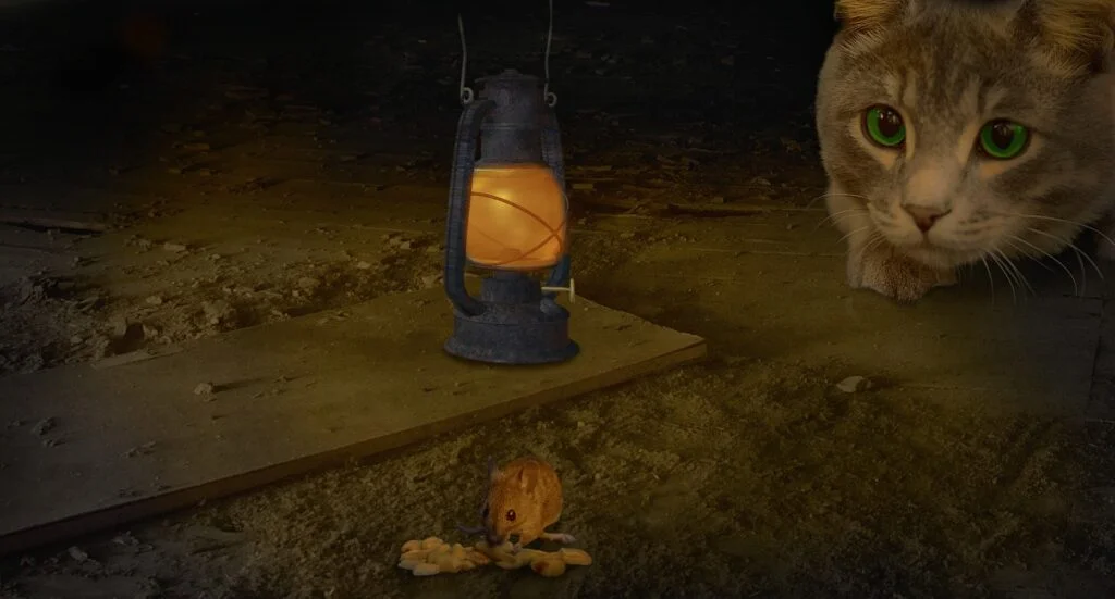 Feeding Cats with Mice