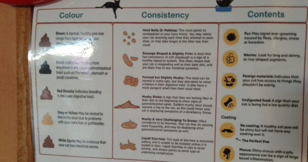 The Great Cat Poop Colour Chart
