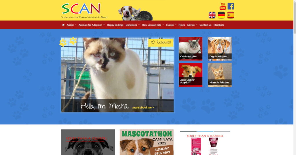 SCAN Animal Rescue Costa Blanca