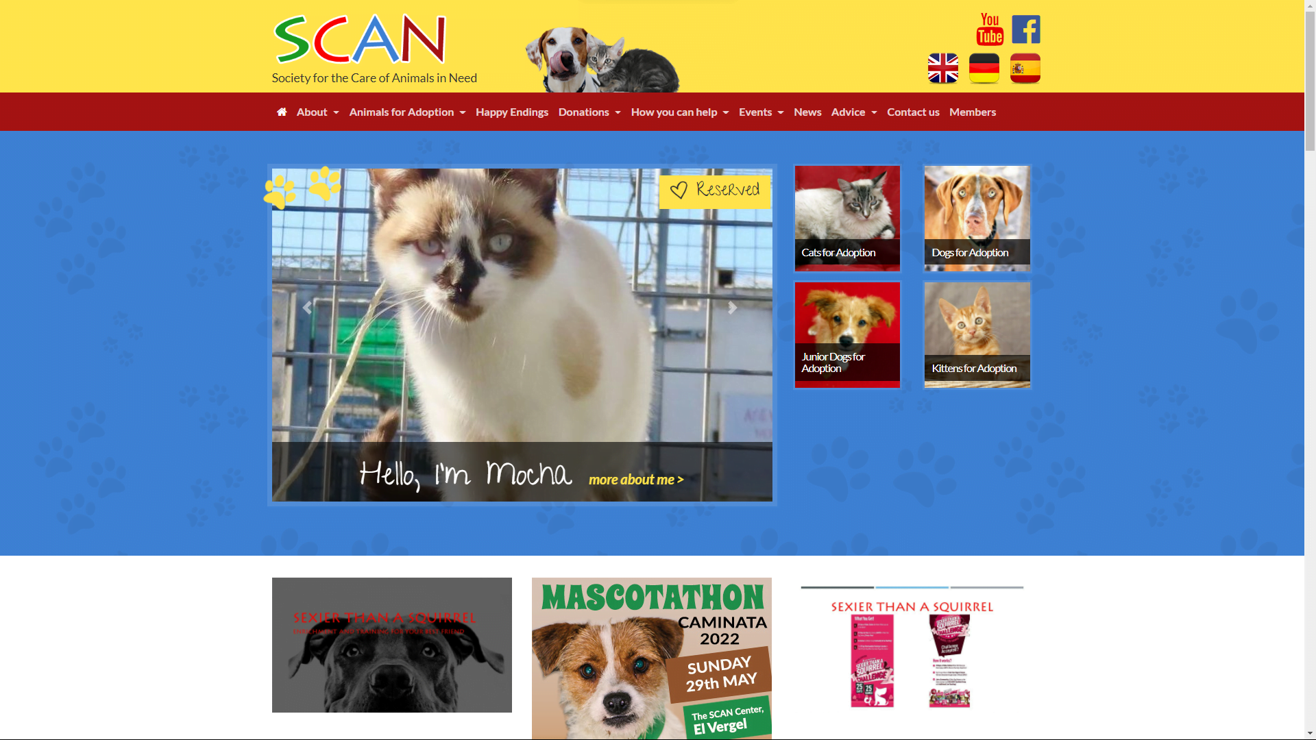 SCAN Animal Rescue Costa Blanca