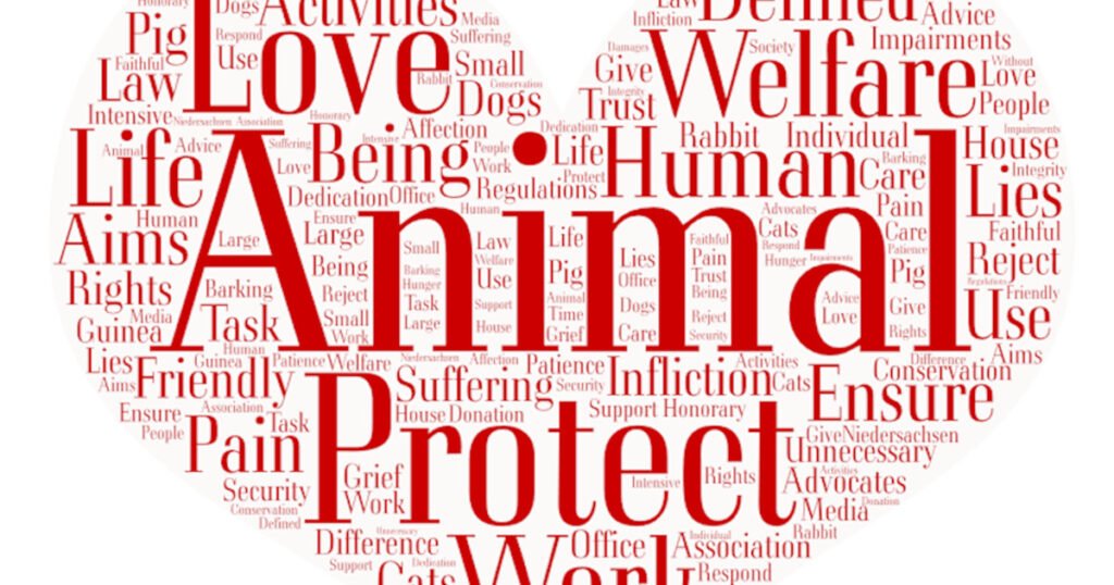 Animal Help Espania
