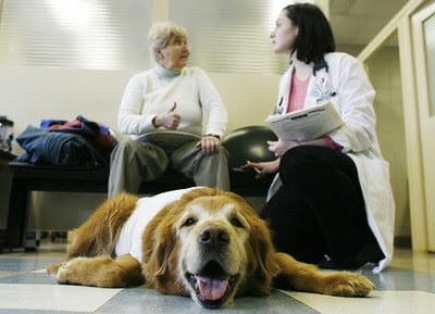 Animals for Cancer Patients