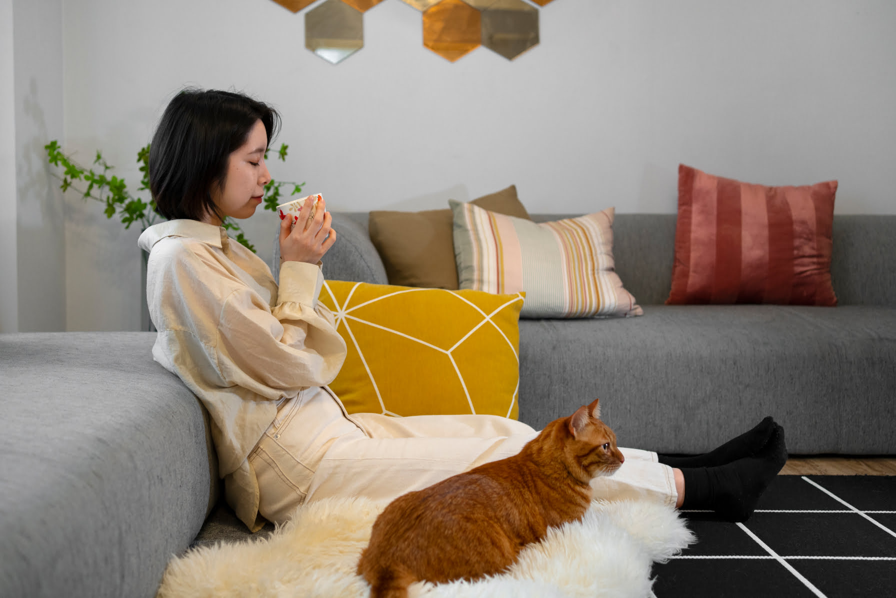 Smart Maintenance Tips for Pet Owners
