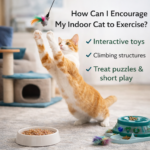 Indoor orange and white cat jumping to play with a feather toy near a cat tree and puzzle feeder to encourage exercise