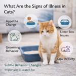 Cat sitting near a litter box with icons showing appetite change, grooming behavior, and low activity as early signs of illness in cats